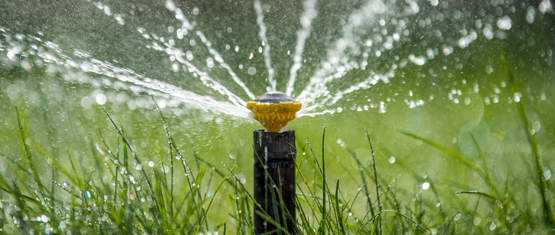 Sprinkler Irrigation